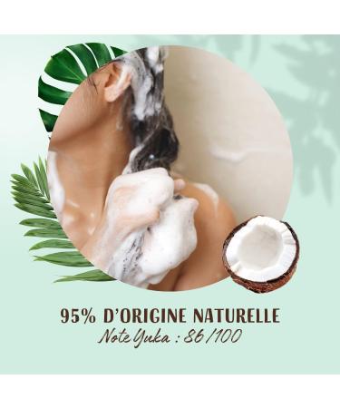 LOVEA - Shampoo - Coconut & Green Tea - Cleans & Moisturizes Intensely - All Hair Types - 95% Natural Origin - Silicone Free - Sulfate Free - Made in France - 250 ml - Buy Online on GoSupps.com