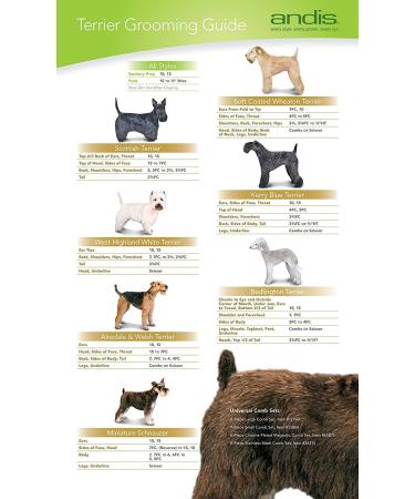 Andis 66240 Carbon Steel Replacement Blade for US-1 and LCL Clippers - Buy Online on GoSupps.com