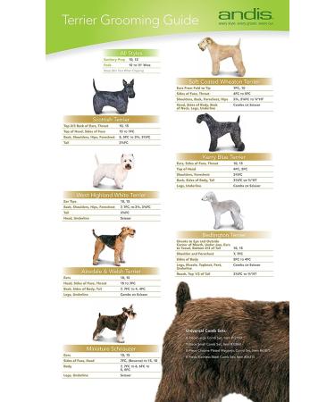 Andis Ceramic Blade Number 40 | Precision Pet Grooming Tool | International Shipping Available - Buy Online on GoSupps.com