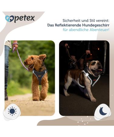 Petex Dog Harness for Small & Medium Dogs - TUV Tested Made in Europe | Reflective & Breathable Air Mesh Technology - Shop Now! - Buy Online on GoSupps.com