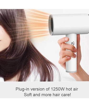 Cordless Hair Dryer Portable Travel Hair Dryer Wireless Hair Dryer Lightweight Mini Hair Dryer USB 2000mAh Rechargeable for Art Painting/Outdoor - Buy Online on GoSupps.com