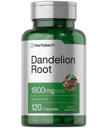 Horb ach Dandelion Root Supplement 1800mg | 120 Capsules | Non-GMO Gluten Free