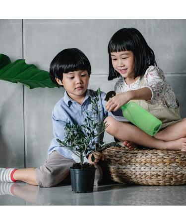 FRCOLOR 3pcs Refillable Airbrush Spray Bottles - Fine Mist Trigger Sprayer for Hair & Travel | Reusable & Portable Empty Bottles - Buy Online on GoSupps.com