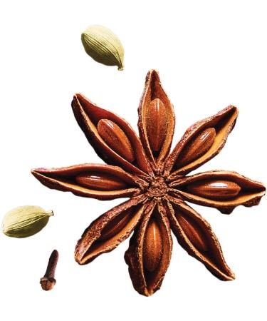 Four O'Clock Organic Fairtrade Black Tea Masala Chai Non-Gmo Kosher Gluten-Free 15 Count Pyramid 45g - Buy Online on GoSupps.com