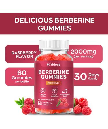 Berberine Gummies 2000mg-Natural High Potency Berberine HCL Supplement - Immune System & Metabolism Support - Vegan Non-GMO - Delicious Raspberry Flavor (60 Count(Pack of 1)) 60 Count (Pack of 1) - Buy Online on GoSupps.com