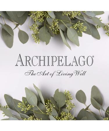 Archipelago Botanicals Charcoal Rose Body Wash - Hydrating Daily Cleanser (33 fl oz) - Buy Online on GoSupps.com