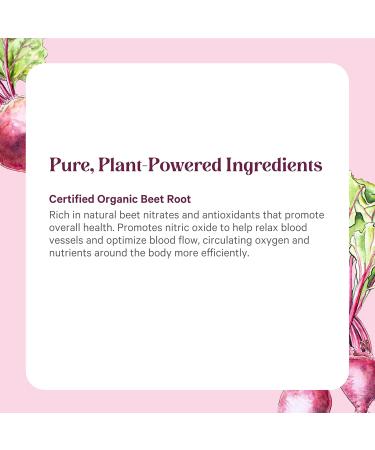 PURE SYNERGY Organic Beet Juice Powder | Pre-Workout Supplement | Organic Beet Root Juice Powder | for Healthy Circulation Exercise and Detoxification (6.4 oz.) - Buy Online on GoSupps.com