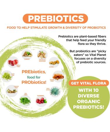 Vital Planet - Vital Flora Advanced Biome Probiotic 100 Billion CFU 100 Diverse Strains 10 Organic Prebiotics Immune Support Colon and Digestive Health Probiotics for Women and Men 30 Capsules Unflavored 30 Count (Pack  - Buy Online on GoSupps.com