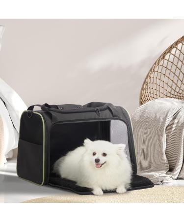 Petsfit TransportBox - Cat & Dog Carrying Bag with Shoulder Strap & Expandable Bed Inlay | Travel Bag for Dogs & Cats (Large/Black) - Buy Online on GoSupps.com