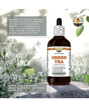 Green Tea (Camellia Sinensis) Dry Leaf Glycerite Made in Hawaii All Natural Vegan Lab Tested Alcohol-Free Liquid Extract - 2 fl.oz 2 Fl Oz (Pack of 1) - Buy Online on GoSupps.com