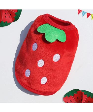 Bangminda Sleeveless Vest for Small Pets | 2-Piece Warm T-Shirts for Guinea Pigs Kittens Rabbits Ferrets & Chihuahuas - International Shipping Available - Buy Online on GoSupps.com