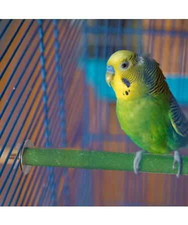 Heyu-Lotus 6 Pcs Parrot Perches Bird Paw Grinding Stick Wooden Bird Perch Stand for Bird Parrot Cockatiel Budgie Perches for Cage Training Bird Cage Perches 20cm (S) - Buy Online on GoSupps.com
