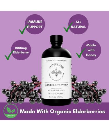 Elderlane Elderberry Syrup Elderberry Shots - Immune Support Supplement for Kids & Adults - Immune Boosters - Natural Immunity Booster - Made with Honey & Elderberries - Gluten-Free - 8.5 Fl Oz 8.5 Fl Oz (Pack of 1) - Buy Online on GoSupps.com