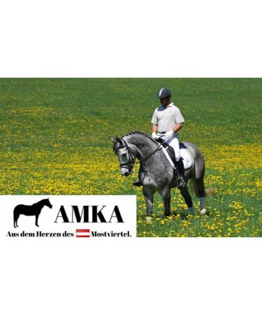 AMKA Double Jointed Argentan Full Cheek Snaffle Bit 16mm - Premium Equestrian Gear for International Shipping - Buy Online on GoSupps.com