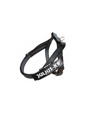 Julius-K9 Color & Gray Belt Harness XS / Mini-Mini black-gray