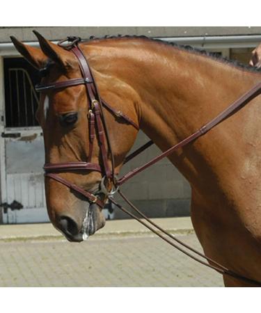 Signature John Whitaker Training Rein Brown Brown One Size - Buy Online on GoSupps.com