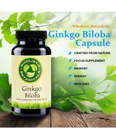 Wholistic Botanicals Ginkgo Biloba Capsule Memory Supplement for Brain Energy Supplement 100 ct - Buy Online on GoSupps.com