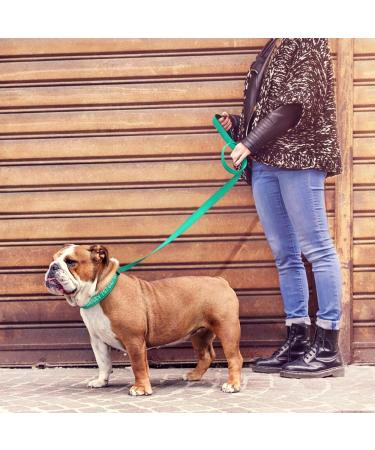 Personalized Reflective Dog Collar & Leash Set for Large Dogs | Tagme Turquoise 1.5m Double-Sided - Buy Online on GoSupps.com