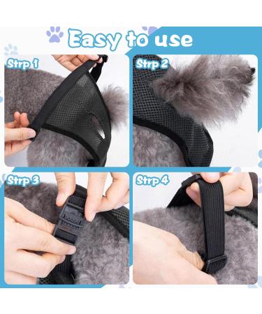 3 Pack XL Fixed Trousers for Female Dogs - Washable Protective Pants with 12 Hygiene Pads - Black - Buy Online on GoSupps.com