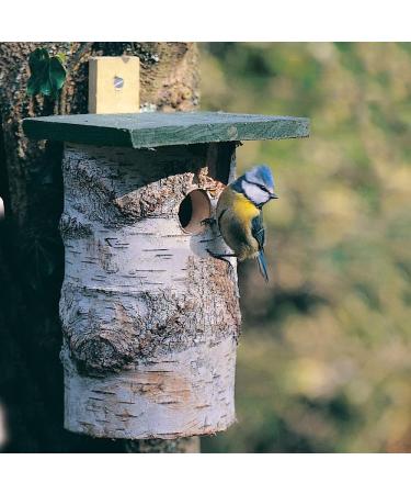 Natural Birch Log Nest Box 32mm Hole - popular with Great Tits Pied Flycatchers Tree Sparrows and House Sparrows - Buy Online on GoSupps.com