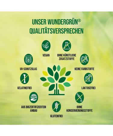 Wundergr n Organic Brahmi Capsules - 180 Vegan Bacopa Monnieri Capsules | 600mg Each 1200mg Daily Dose | Organic Certified Herbal Supplement - Buy Online on GoSupps.com