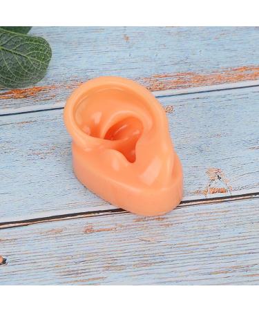 Silicone Imitation Real Human Ear Display Model - Sculpture Supplies - Buy Online on GoSupps.com