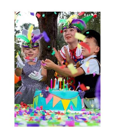 Mardi Gras Purple Feather Headband | Sequins Glitter Hair Band for Adults | TSFD14 - Buy Online on GoSupps.com