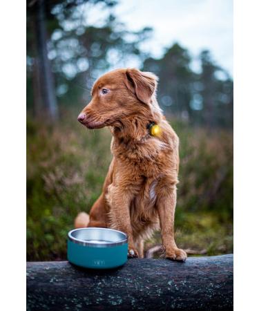 Orbiloc Yellow Safety Light for Dog Collars - Enhance Pet Visibility & Safety | International Shipping Available - Buy Online on GoSupps.com