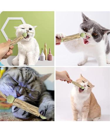 Organic Catnip Sticks Set - 3 Pieces for Dental Care & Chewing Toys | Cat Dental Health Products - Buy Online on GoSupps.com