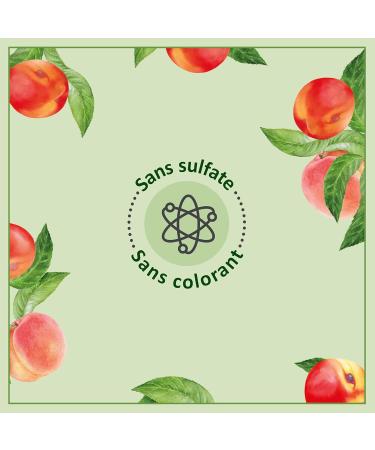 Le Petit Marseillais Refreshing Shower Gel Peach Nectarine Eco Refill Organic 250ml - Buy Online on GoSupps.com