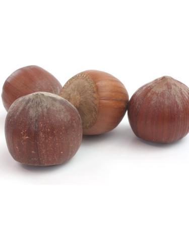 Buy TALI Giant Hazelnuts in Shell - 1 kg | Premium Quality International Shipping - Buy Online on GoSupps.com