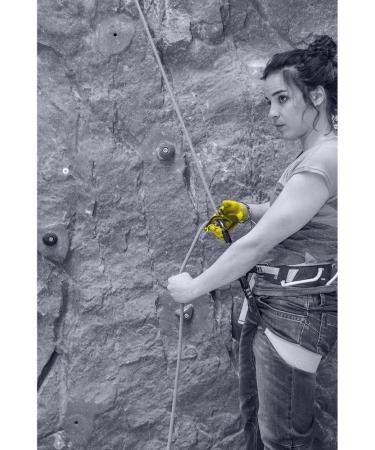 Salewa Unisex ERGO Belay System - Adult Night Color One Size EU UNI | Premium Climbing Gear for Safety - Buy Online on GoSupps.com