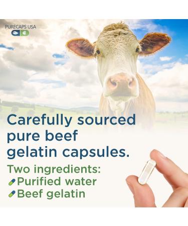 PureCaps USA Clear Gelatin Capsules Size 0 - 100 Count Non-GMO, Kosher, Halal, Gluten-Free Beef Gel Pills - Buy Online on GoSupps.com