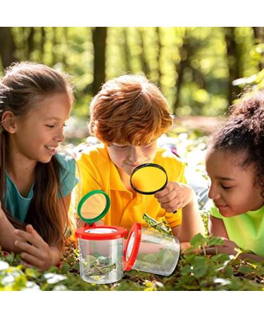 minkissy 4 Pcs Insect Observation Cup Magnifying Glasses for Kids Magnifying Glass for Kids Insects for Kids Insect Viewer Magnifying Container for Learning Outdoor Suite Child Pmma 7.6X7X7CMx2pcs As Shownx2pcs - Buy Online on GoSupps.com