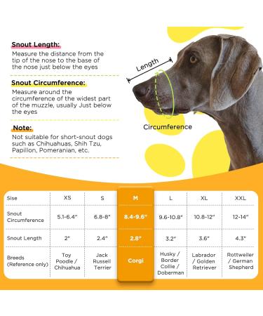 BONTHEE Dog Muzzle Soft Mesh Muzzles for Small Medium Large Sized Dogs Muzzle for Dogs to Prevent Biting Breathable Puppy Muzzle for Scavenging Grooming Biting Chewing and Licking Carrot M - Buy Online on GoSupps.com