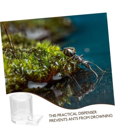 Yardwe Pet Water Feeder Ant Waterer Ant Bowl Ants Food Dispenser Ant Water Feeders Plastic Transparent - Buy Online on GoSupps.com
