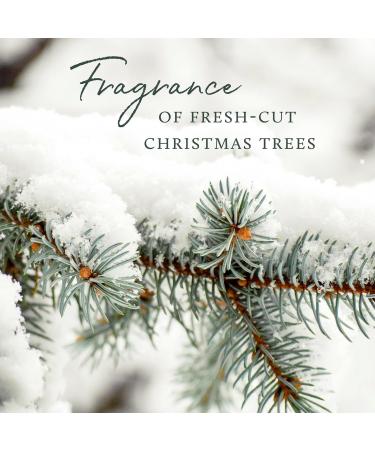 Thymes Luminary Frasier Fir Candle - Luxury Pine Scented Candle for Home Decor & Bath - 20 Oz Silver Candle - International Shipping Available - Buy Online on GoSupps.com