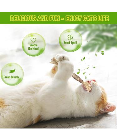 Buy Cybgqp 5-Piece Silvervine & Matatabi Cat Nibbles | Tooth-Cleaning Treats for Cats | International Shipping - Buy Online on GoSupps.com