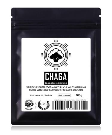 SIGMATIC-CHAGA Siberian Superfood Slow Drying Chaga Mushroom Small Parts GMP ISO-9001 100g