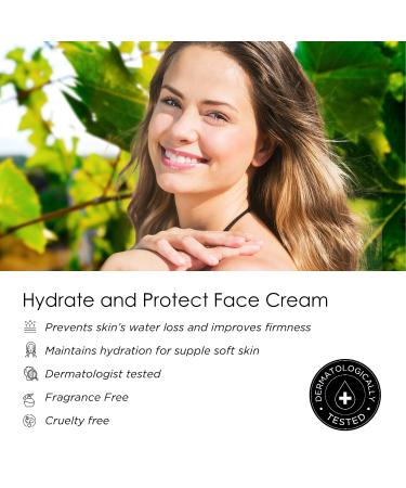Zohra Minimalist Moisturizer Face Cream - Hydrating Vitamin C & E Cream for Dry Skin | Fragrance-Free Made in USA (1.7 Oz - Buy Online on GoSupps.com