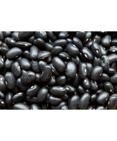 Mynatura Organic Black Beans - Dried Black Turtle Legumes (1000g) | Natural Plant-Based Cooking Ingredient for International Shipping - Buy Online on GoSupps.com