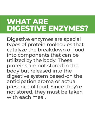 Animal Essentials Plant Enzyme & Probiotics for Dogs & Cats - 10.6 oz (300g) | Digestive Health - Buy Online on GoSupps.com