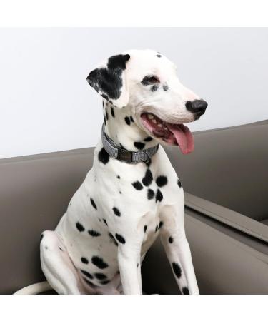 Unique Style Paws Adjustable Dog Collar & Leash - Black Checkered for Small & Medium Dogs & Cats - International Shipping Available - Buy Online on GoSupps.com