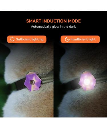 LaRoo Safety LED-Flashing Light for Dogs Cats LED-Light Pendant Keyring Clip on Dog Collar Charms Blinker Light Waterproof Safety Light for Walking the Dog and Outdoor Sports rechargable Purple-1 - Buy Online on GoSupps.com