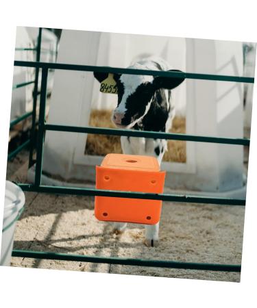 Balacoo Cattle Salt Block Feeder Cattle Sheep Food Bowl Livestock Feeding Bucket Farm Livestock Salt Block Feeding Box for Sheep Goat Pup Dog Farm Supplies Accessory Orange Livestock Feeder Bowl - Buy Online on GoSupps.com