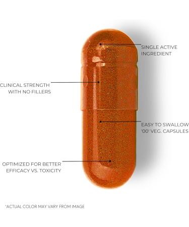 Clean Label Milk Thistle Extract with 80% Silymarin Supports Liver Health and Immune System Liver Detox Supplement 120 Veg Capsules 120 Capsules - Buy Online on GoSupps.com