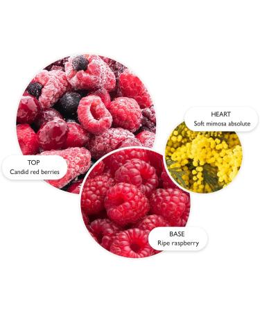 Molton Brown Merry Berries & Mimosa Bath & Shower Gel 300ml New Version - Buy Online on GoSupps.com
