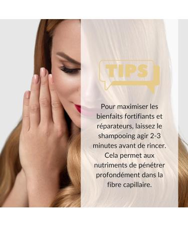 Pure Mineral - Shampooing l'Huile de Ricin - Fortifiant et R parateur pour Cheveux Fragiles - Om ga-9 - Sans sulfates parab nes petrolates - 500ml - Buy Online on GoSupps.com
