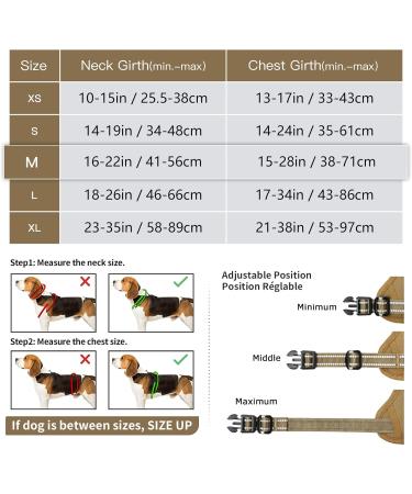 Buy Heele Dog Crockery & Adjustable Harness for Medium Dogs - Reflective Brown Dishes & Chest Harness | Best Quality International Shipping - Buy Online on GoSupps.com