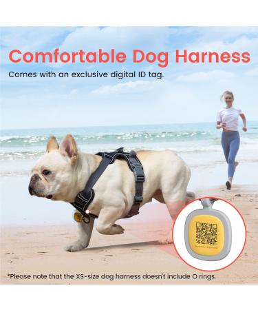 Shop Pawaii XS Dog Harness for Small Dogs - Anti-Pull Reflective Adjustable & Breathable with Handle | Ideal for Comfort & Control - Davys Gray - Buy Online on GoSupps.com